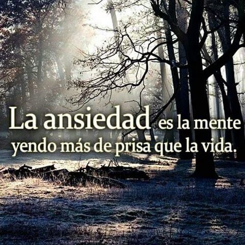 AlzinaG's tweet photo. https://t.co/PiEjqe8SJd