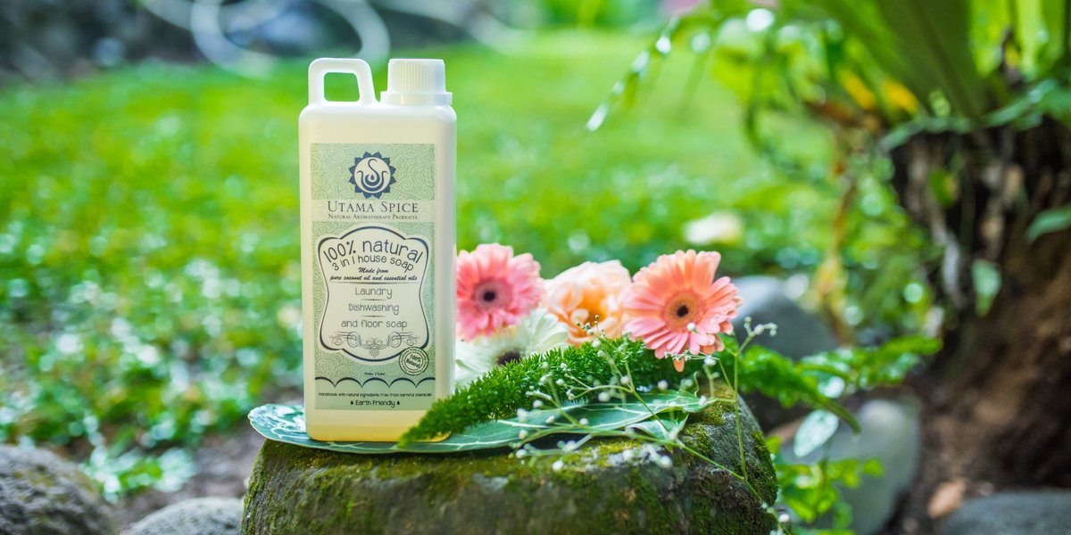 3-in-1 House Soap is gentle enough for the most delicate laundry, will cut the grease on dishes and pans &amp; wash floors to a gleaming shine!