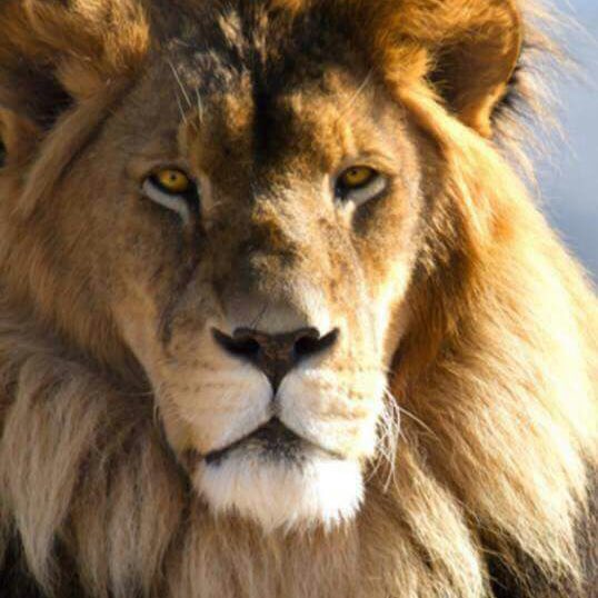 PowerMarketers's tweet image. #NewProfilePic