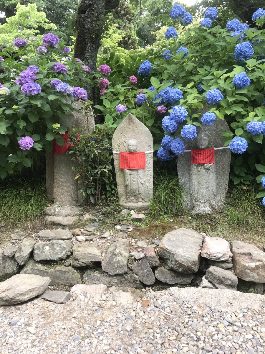 kei_logic's tweet photo. 矢田寺行ってきました。
賑わっていました。 https://t.co/I0bt1NTJLL