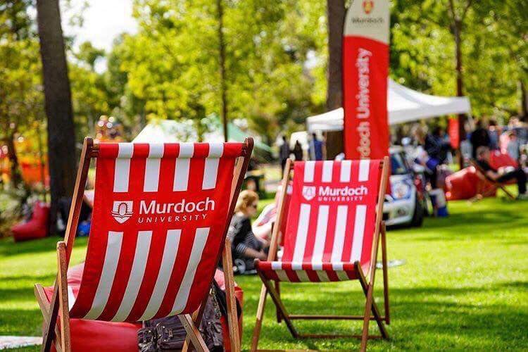fitch_kate's tweet photo. @travisaholland @andre_spicer we have deckchairs @MurdochUni #bushcourt #timetothink https://t.co/wDUnWOnJW5