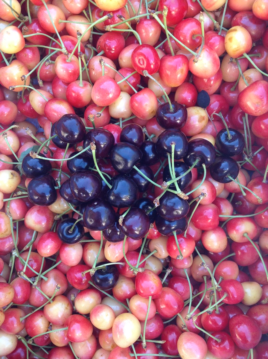 CastaniaFruits's tweet photo. Prices and where you can find us today in #NICOSIA.
Details here >>> https://t.co/FI3dtQlJe6
[2,55KG = €15,οο = 1box = petrokeraZo] https://t.co/z8fi2UoNPR