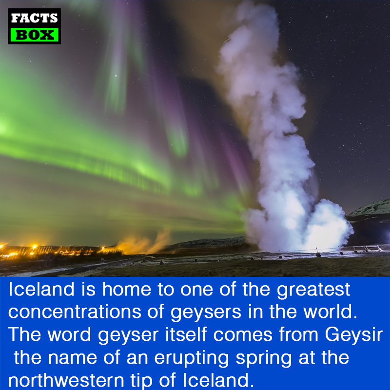 grid_88's tweet photo. #Iceland #Geyser #Geysir #Geysa #FactsBox #IcelandFacts https://t.co/lJL0sUwPZ3