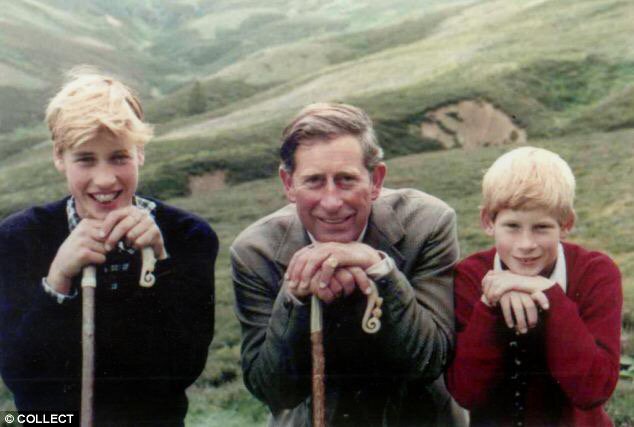 View image on Twitter