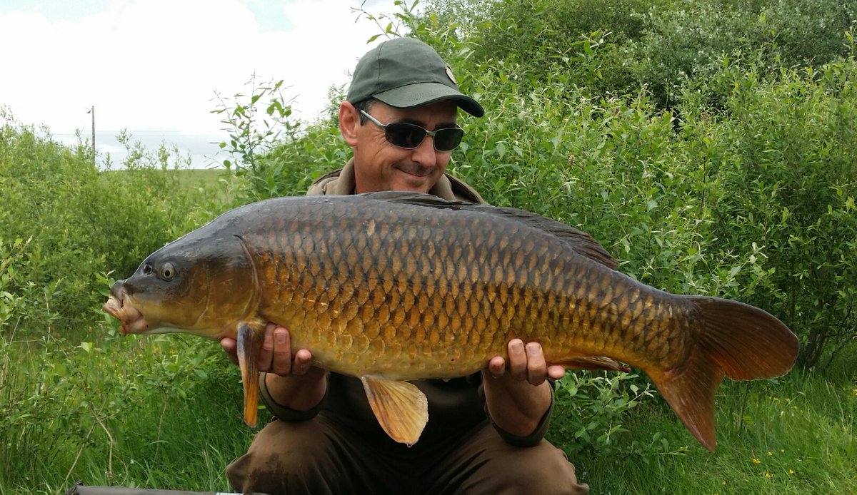 uppernorthvilla's tweet photo. Latest edition to my album
#nashtackleofficial #nashbaitsofficial #keycray #cannockanglingcentre https://t.co/w5W6uq817p