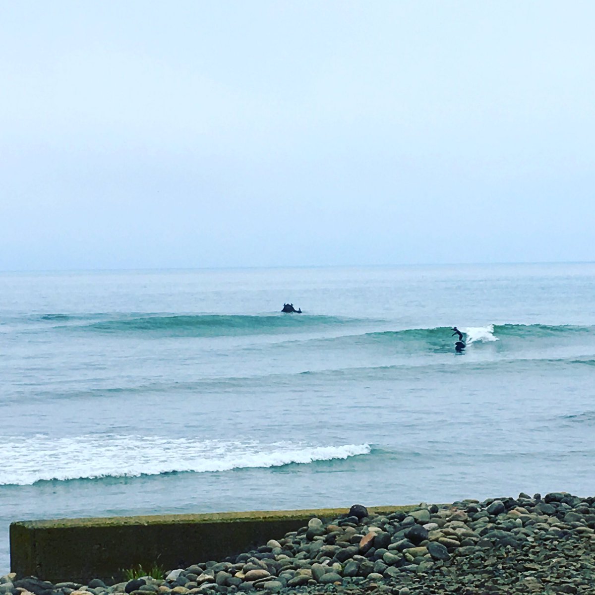 aoyagibase_atwo's tweet photo. 今日は○○べで腰位でした🌊
#北海道
#函館
#海
#波
#surf
#kjksurfboard
#originalsurfboard
#quadfin
#hid
#idealsnowshape
#aoyagibase
#焼き焼き https://t.co/plqBYh04Zu