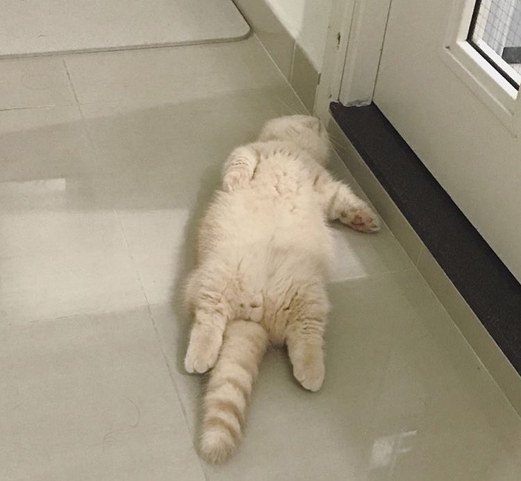 pinkar9's tweet photo. พบวัตถุต้องสงสัย
รูปร่างคล้ายถังแก๊ส
ยังไม่ทราบที่มาแน่ชัด https://t.co/PsILQAO0je