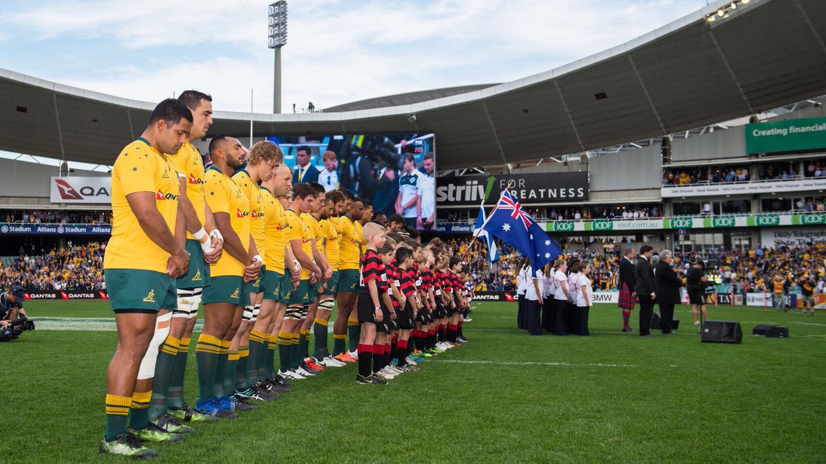 Wallabies tweet media
