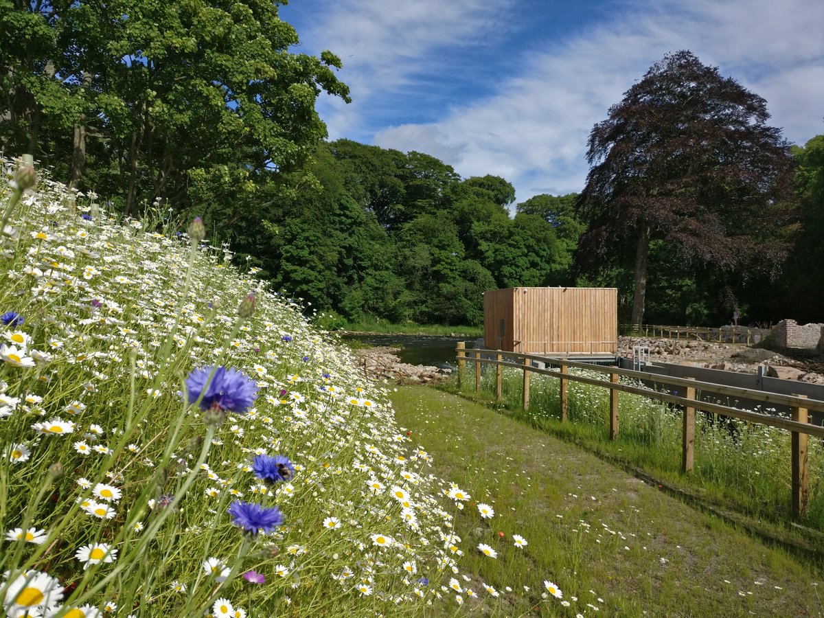 ACEnergy2016's tweet image. Want to help at at the Hydro / riverside today? Too beautiful to not be outdoors!! Drop us a line or come and see us if you&apos;re a keen bean!