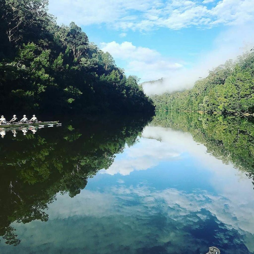 Nepean Sundays. Doesn't get much better. 📷 <a href="/sydrowingclub/">Sydney Rowing Club</a> #rowing #crew #aviron #AUSJM4x #oarslave ift.tt/2sG6oDh