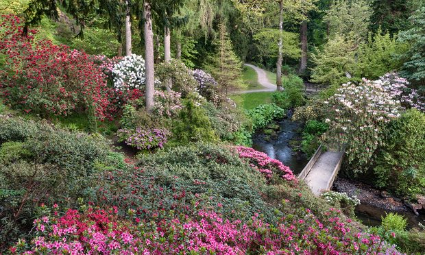 Carbongate's tweet photo. The ideal level of CO2 supplementation to maximize plant growth in a well maintained garden is generally 1500 ppm
https://t.co/ceZdffmtHW https://t.co/xLGzRNpCXq
