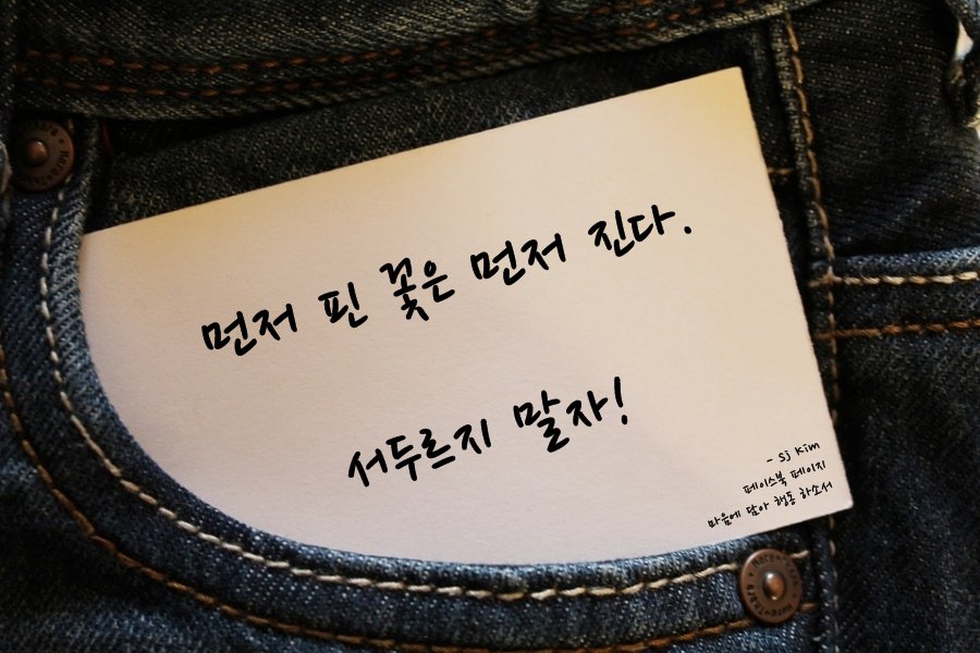 먼저 핀 꽃은 먼저 진다. 

서두르지 말자!