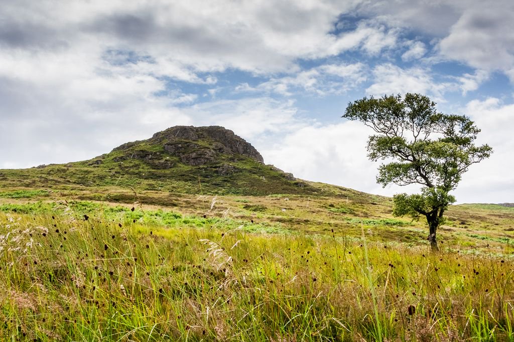 NlandNP's tweet photo. Visit the beautiful #Harthope Valley this weekend
https://t.co/37Th6SwboI
#GetStuckIn https://t.co/g3ooXNuGAd