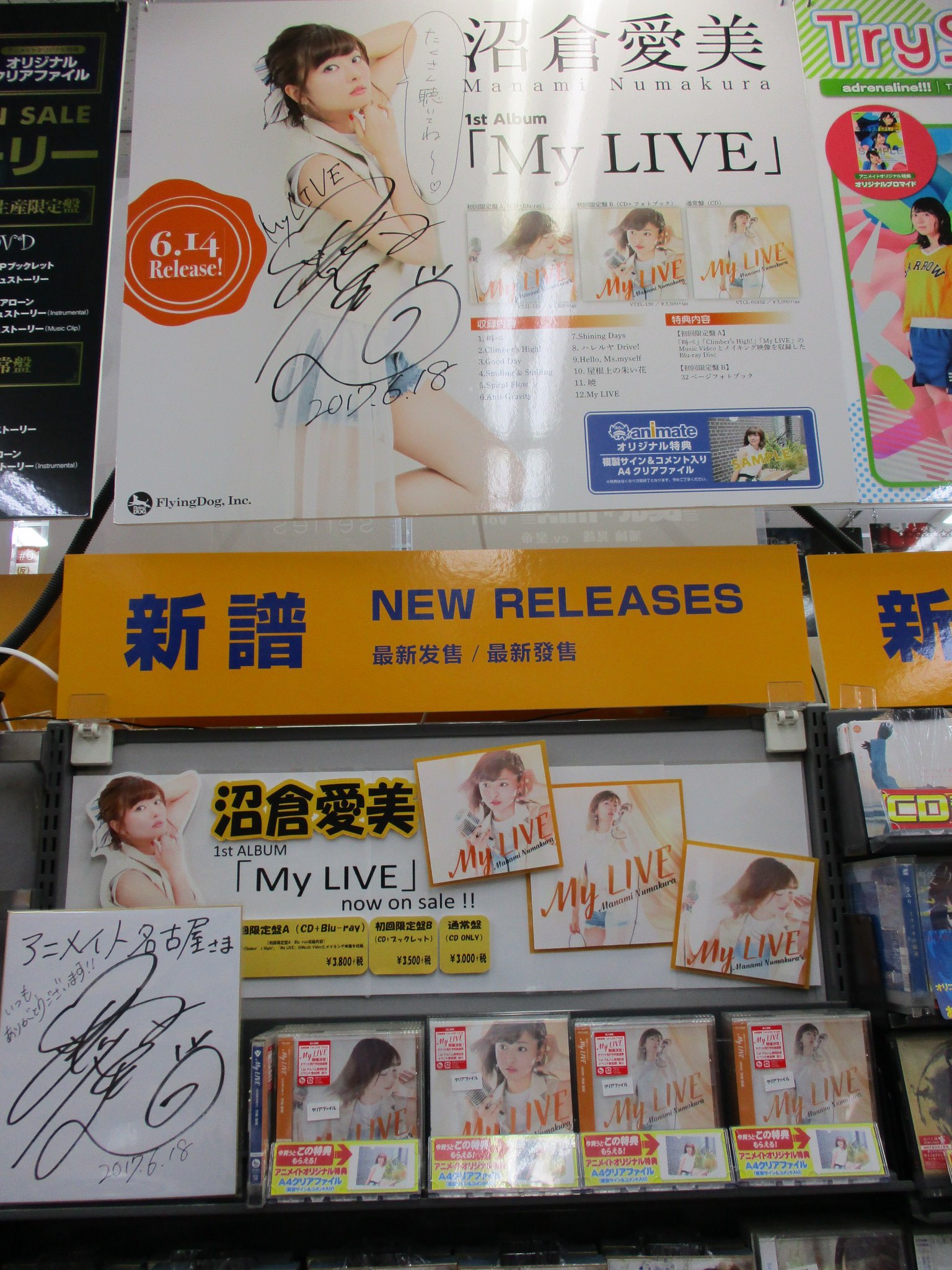 当店人気☆送料無料 - グラサマ オーバロードコラボ ナーベラル役 沼倉