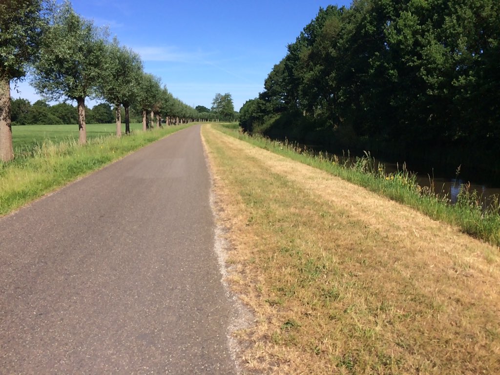 pimlemmers's tweet photo. Er zijn nog steeds gemeenten die denken dat ze met het platmaaien van de bermen de #wildebijen #vlinders en #bijen helpen! #bewustwording https://t.co/LaVQnz9crI