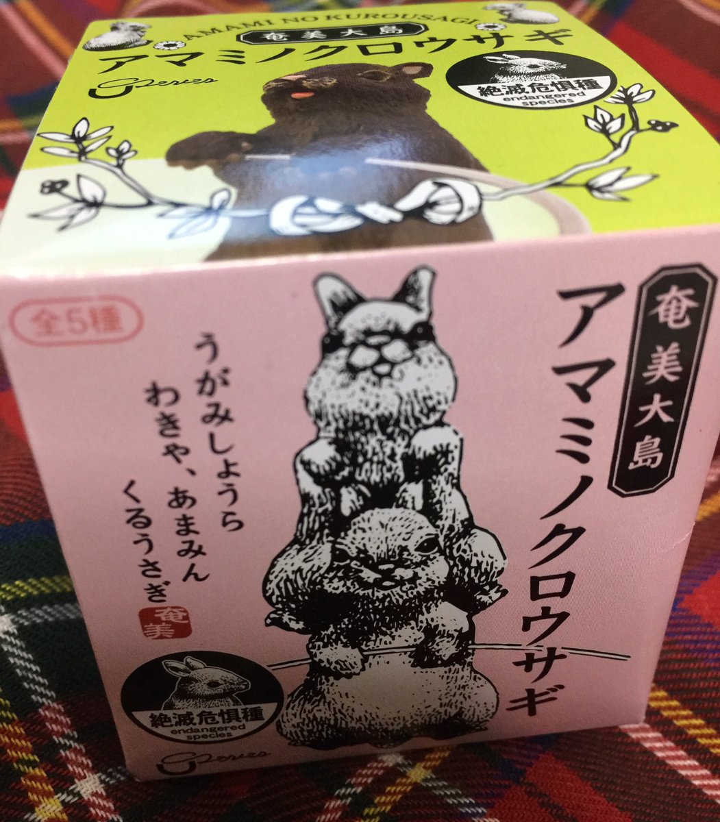 奄美大島お土産