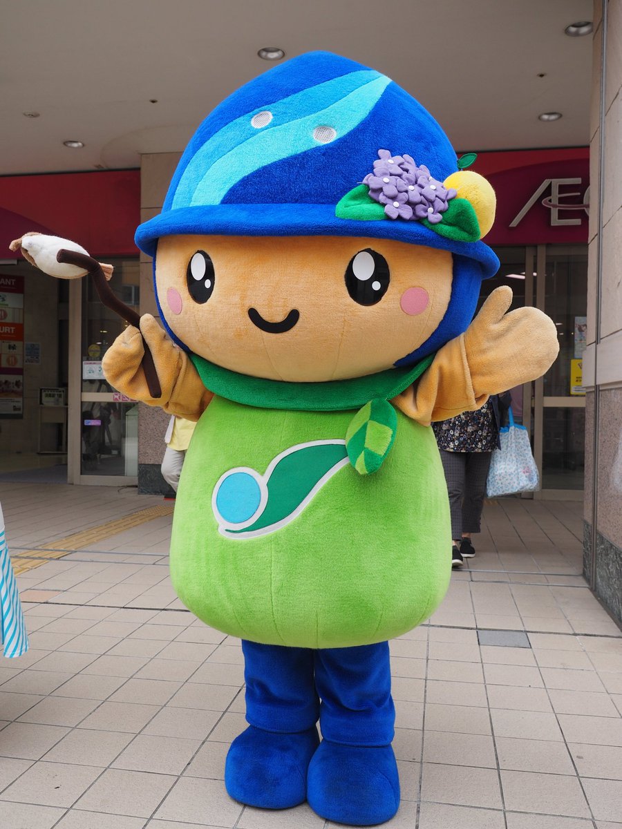 もと En Twitter 17 6 18 第13回 さがみはら環境まつり イオン橋本入り口前にて 相模原市マスコットキャラクター さがみん 帽子に付いているアクセサリーは市の花アジサイ 相模原市 さがみん ゆるキャラ