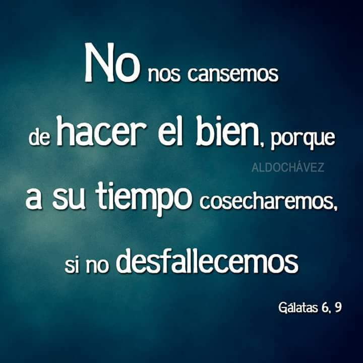 Familia <a href="/sinprosegbogota/">SINPROSEG BOGOTA</a> a todos nuestros compañeros que realizan está labor feliz día <a href="/FuentesPacho/">Pachito Fuentes</a> <a href="/miguelgr2583/">🦮🆗🚨Miguel Angel. psicólogo🎗️.</a> @CarlosMinaa <a href="/SINPROSEGN/">SINPROSEG NACIONAL</a>