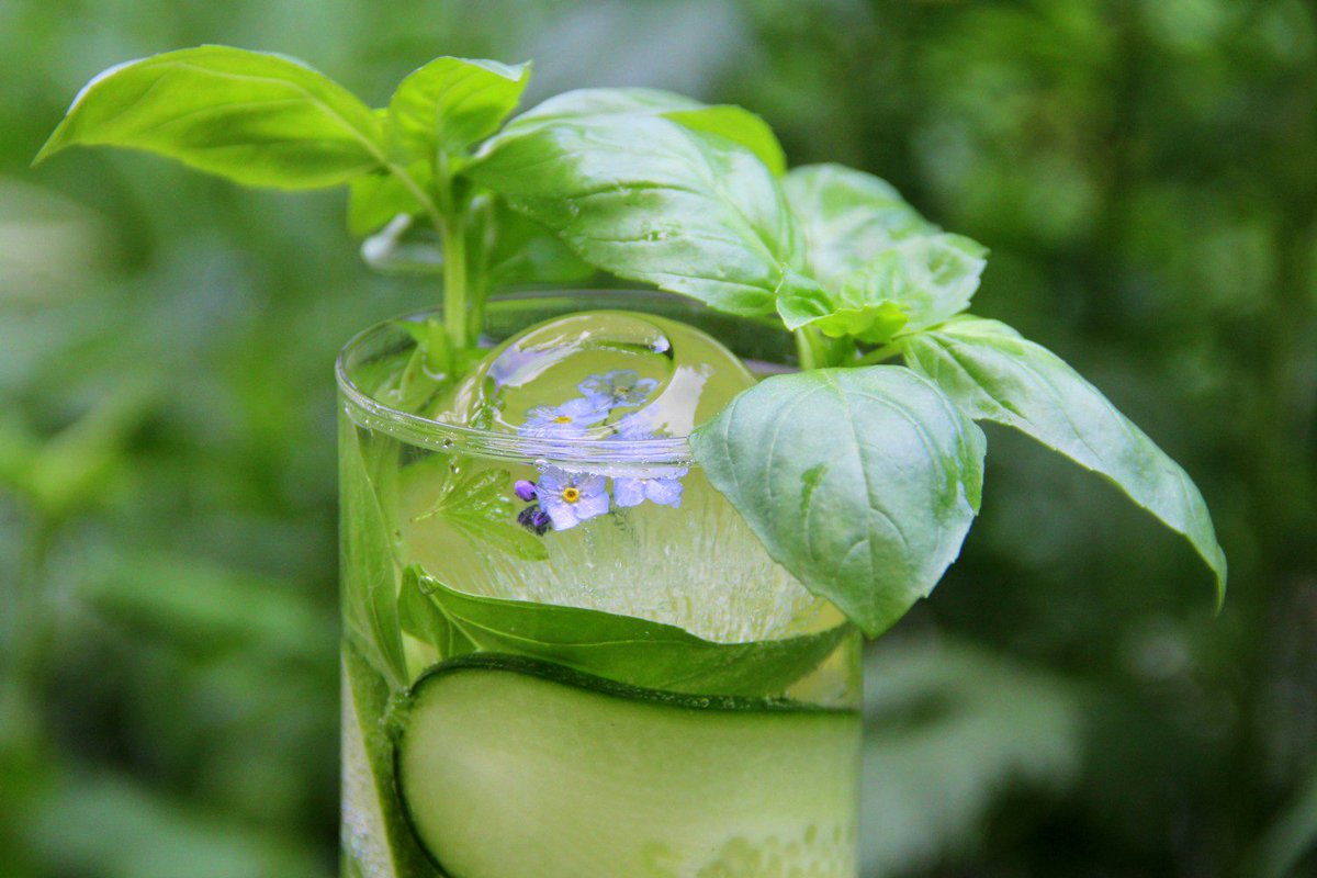 Vonderfoule's tweet photo. Connaissez-vous la Radoune? #recette #cocktail https://t.co/pWnvM3KX2m #Radoune https://t.co/YdFMnKsXWz