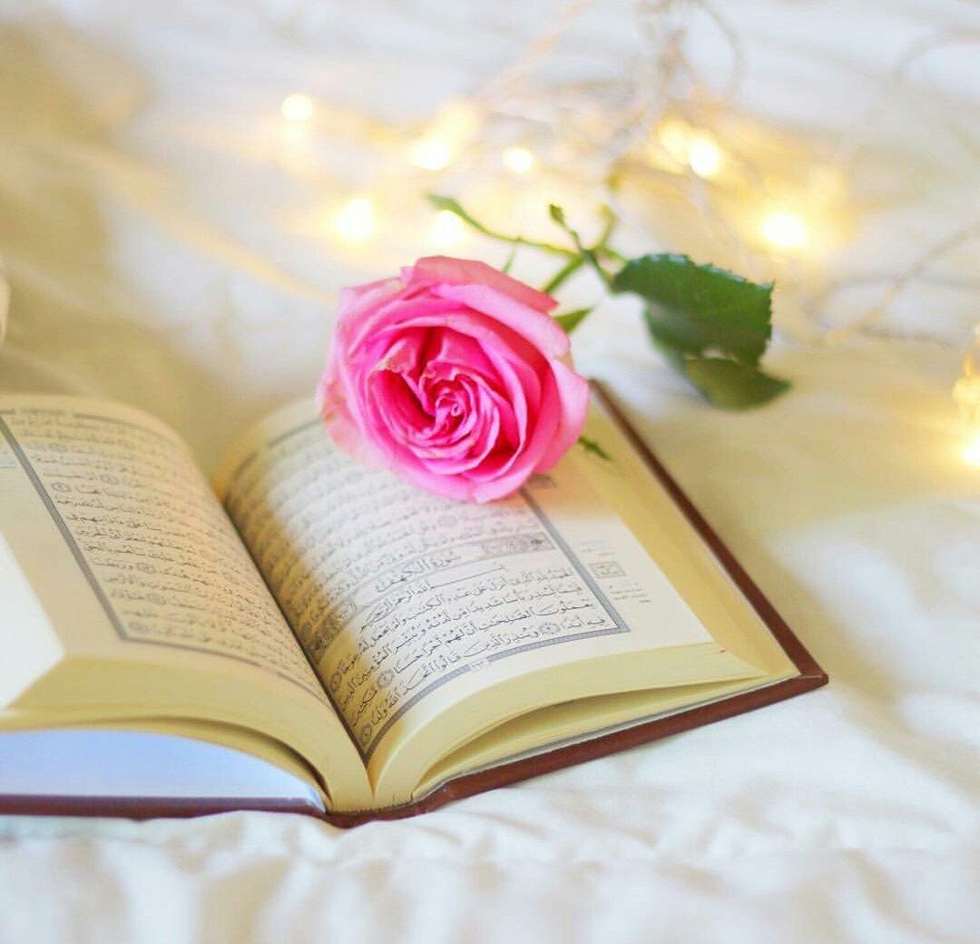 23رمضان🌙
🍃💞
اللهم إني أستغفرك لكل ذنب يمحق الحسنات ويضاعف السيئات ويحل النقمات ويغضبك يا رب الأرض والسماوات...🥀