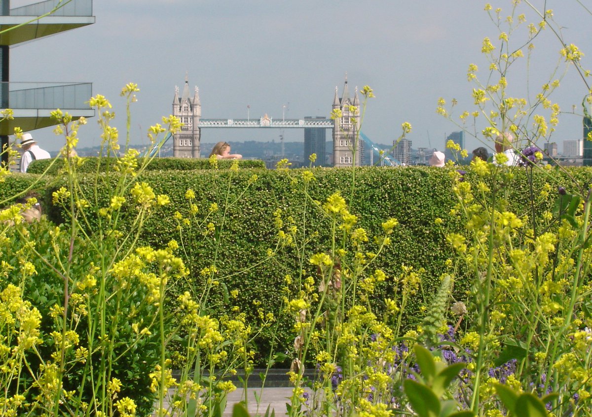 Bernard_LeCar's tweet photo. #OGSW17 @OpenSquares @Nomura Tower Bridge as viewed from the roof top garden at Nomura. They have Iced Yoghurt, Owls and Slug Bells: go see! https://t.co/vhO0HMCieL