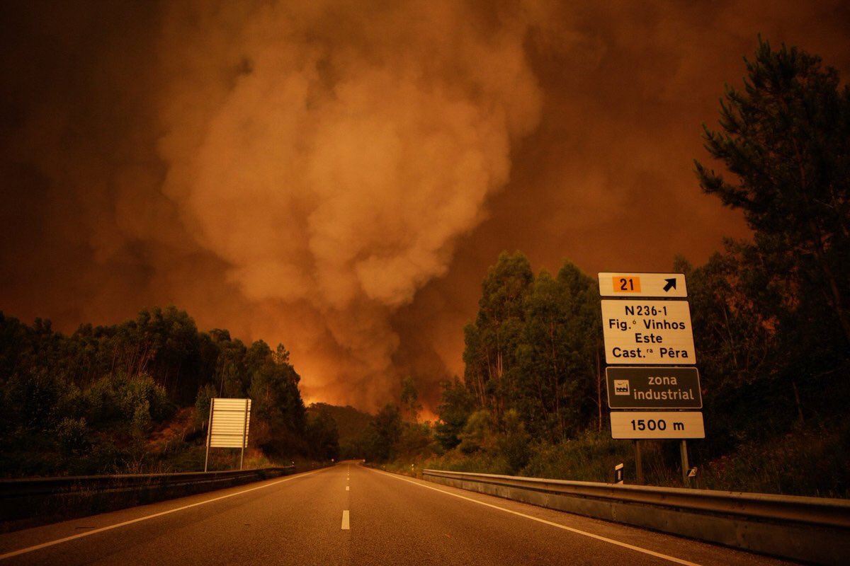 ruicouto13_'s tweet photo. As minha condolências as famílias que estão a sofrer...
Estamos todos a apoiar Portugal nos bons e nos maus momentos 
FORÇA #PrayForPortugal https://t.co/qTcBdZjaCR