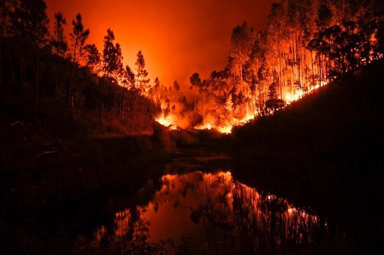 ruicouto13_'s tweet photo. As minha condolências as famílias que estão a sofrer...
Estamos todos a apoiar Portugal nos bons e nos maus momentos 
FORÇA #PrayForPortugal https://t.co/qTcBdZjaCR
