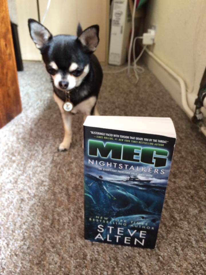 Bill626's tweet photo. My dogs got me @meg82159 #Meg5 for fathers day, it's going to be the first Meg I read having to imagine the Stath as Jonas =) https://t.co/AQAuDf3zuG