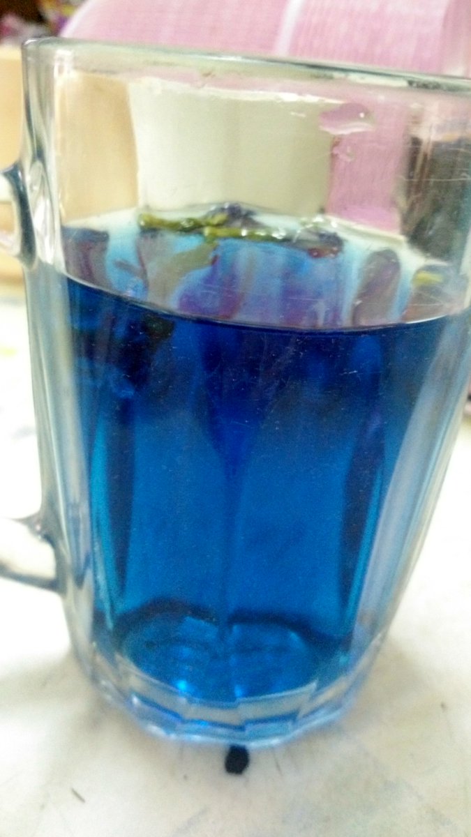 siao_fui's tweet photo. Blue tea https://t.co/lXpxO1Pkzn