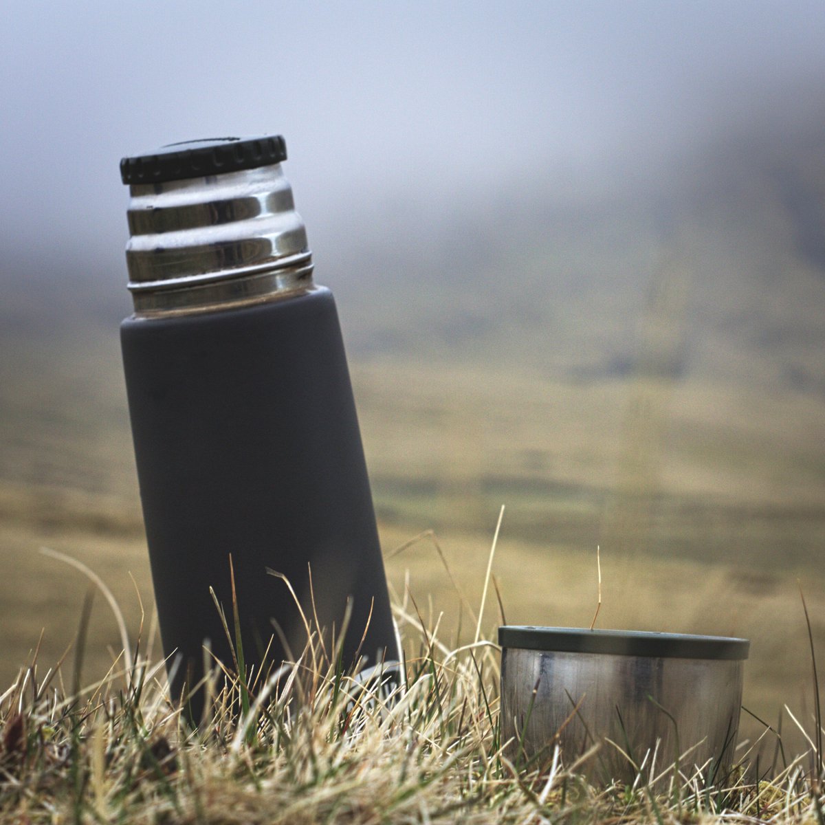 ForoysktDaily's tweet photo. thermos - varmafløska (varmi - heat + fløska - bottle) #føroyskt #FaroeIslands enjoying Faroese spring in #Dalur https://t.co/f3F4sSUnTG