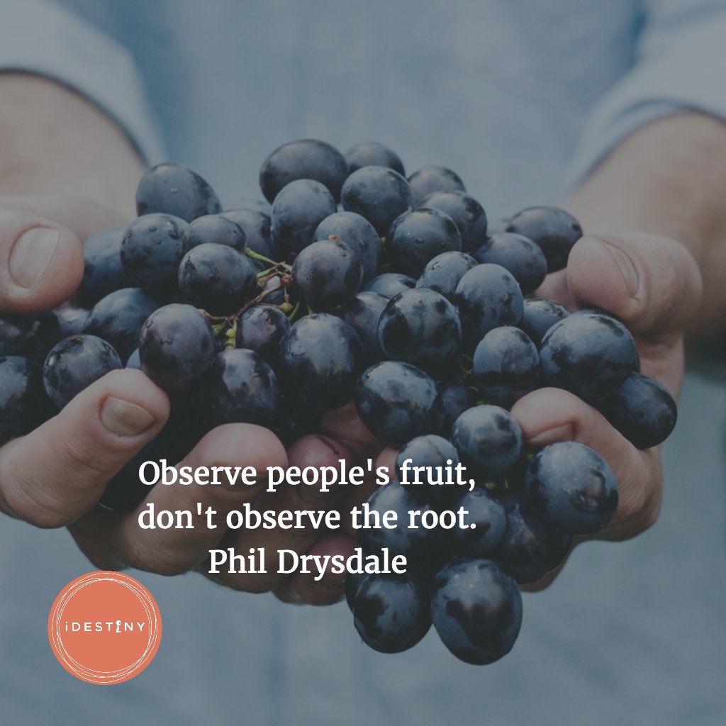 iDestinySoM's tweet photo. Observe people's fruit, don't observe the root.
Phil Drysdale https://t.co/3QoUYd87hC