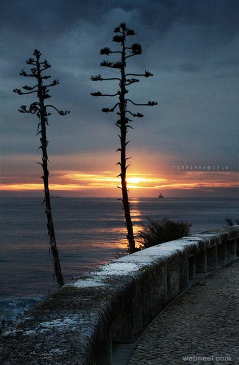 wallpaperways's tweet image. Very nice #sunset