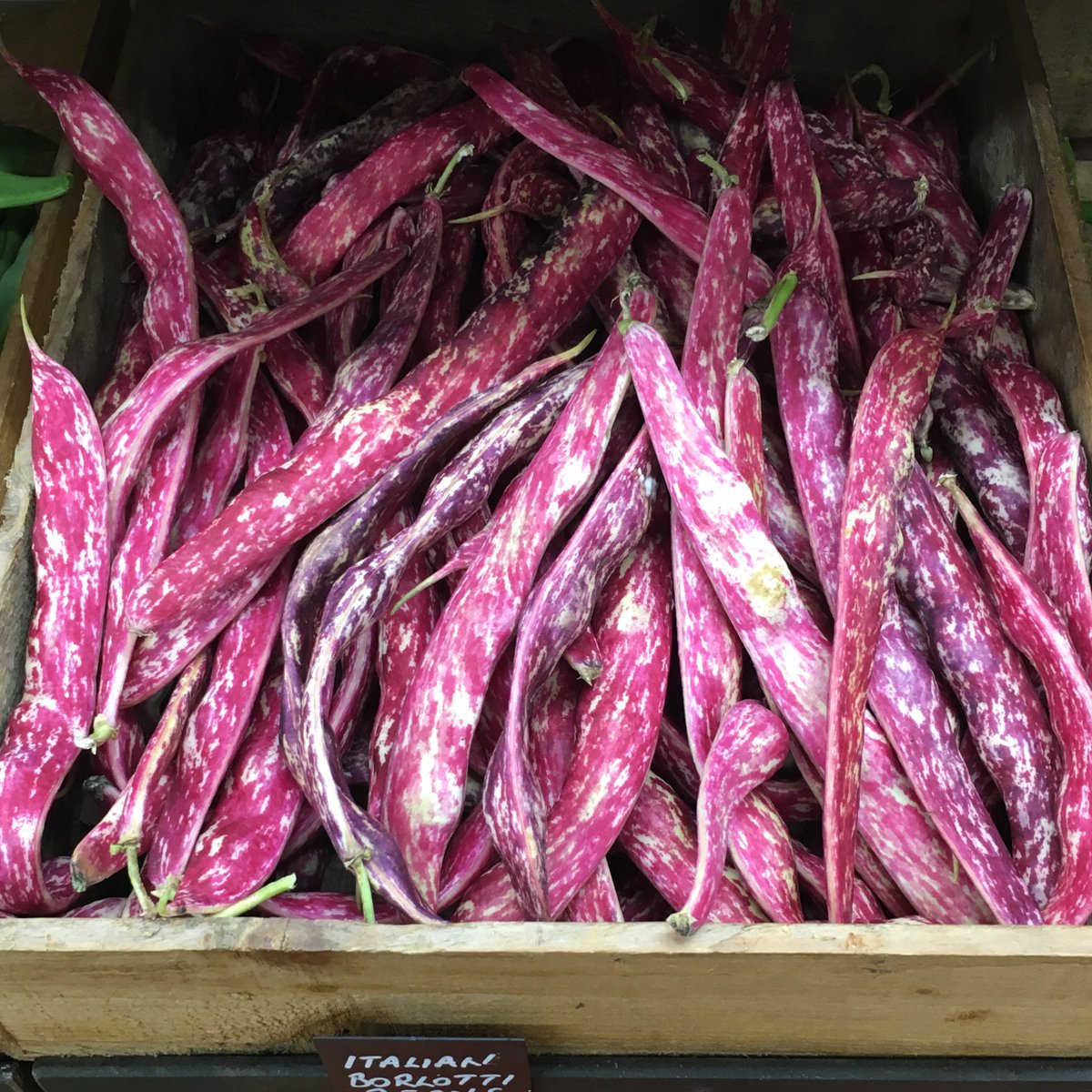 borlotti beans from <a href="/parkwaygreens/">Parkway greens F&V</a> are deffo the most attractive bean ever.. lots of veggie recipes here myprimrosehillkitchen.com
#food #yum