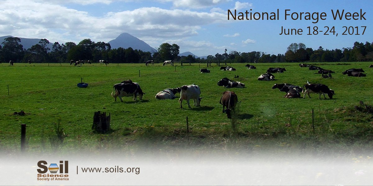 SSSA_soils's tweet photo. One acre of forage protects 2 million pounds of soil. National Forage Week! #AFGC2017 https://t.co/UWVPXZre3e