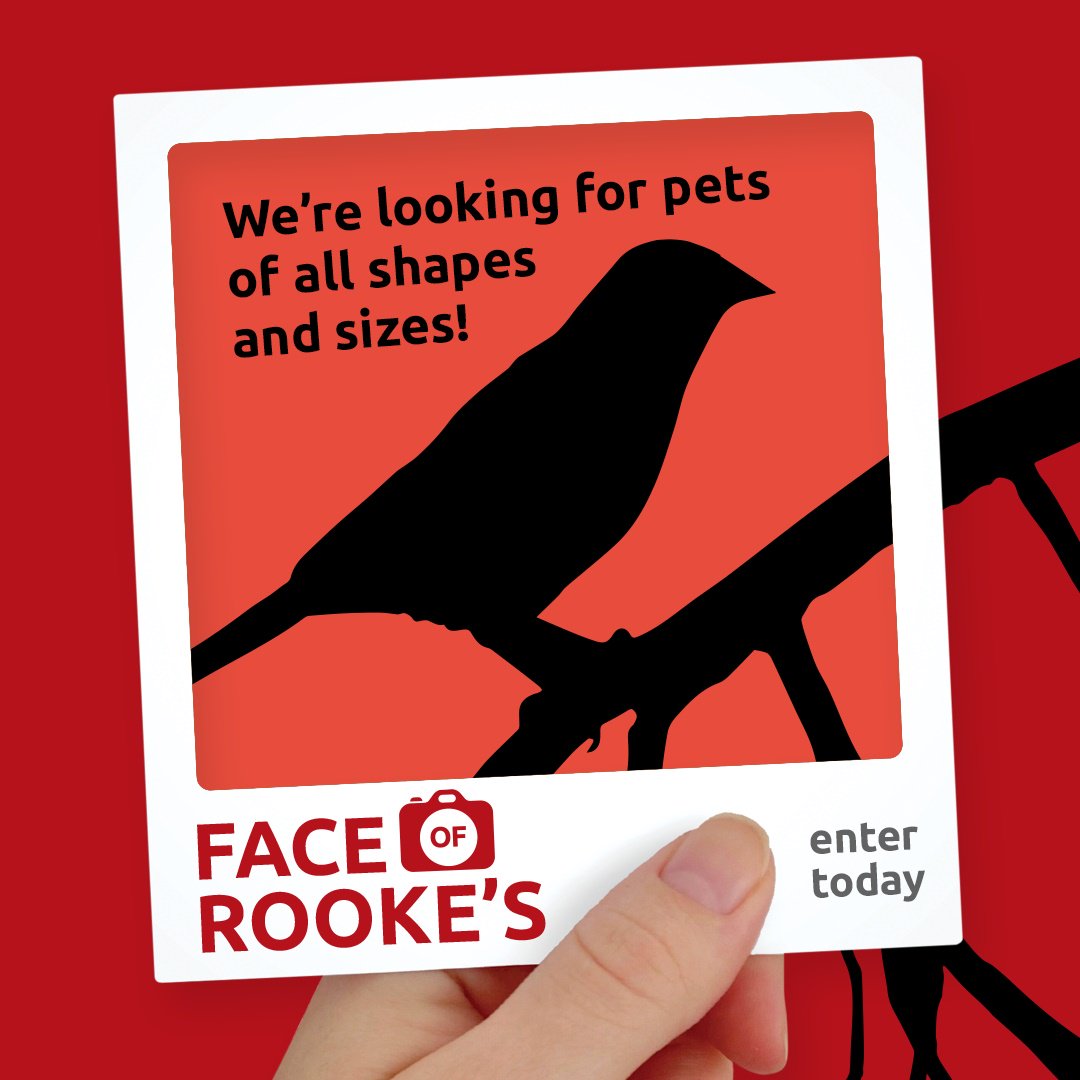 Rookes_Pets's tweet photo. The Face of Rookes competition is back! https://t.co/LQiiWGI6KH #FoR2017 #RookesPets #Spalding #Pets https://t.co/6nN1DZ1Azi
