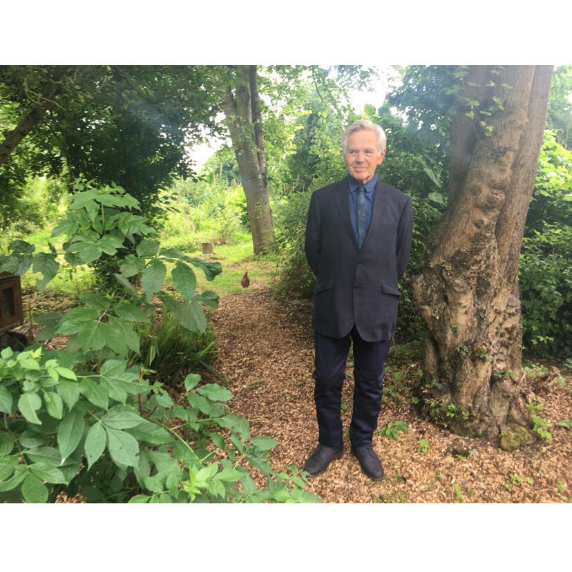 cameraandlight's tweet image. Happy Father's Day Frankie #chickenontheloose