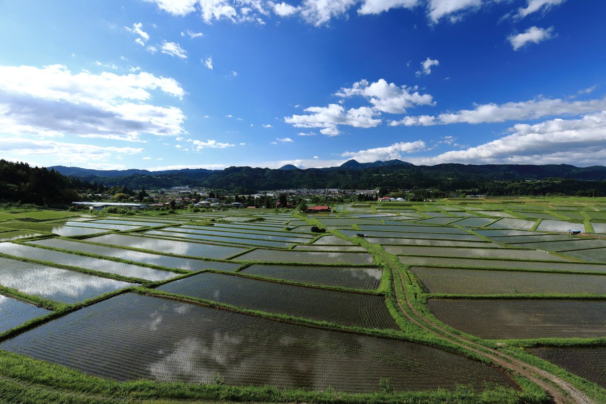 加速装置 写真撮ってます 山形朝日町の椹平 くぬぎだいら の棚田 約２００枚の田んぼが視野いっぱいに広がる 地元では 神が落とした扇の田 と呼ばれているとか 椹平の棚田 写真撮ってる人と繋がりたい