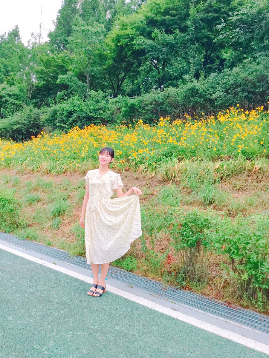 yooashie's tweet image. Ve sonunda dışarı çıkıp havanın güzelliğinden yararlanma kararına varır.~ ☘️ Eğer sıkılmış Miraclelar varsa, bunu kesinlikle denemeliler!! 😸