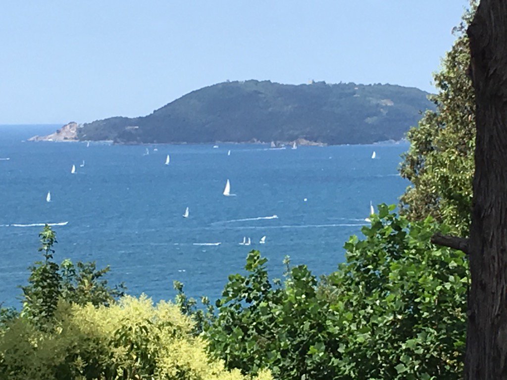 speziapolis's tweet photo. Una splendida giornata 🚴🚣🏽♀️🏄🏼⛵️⛱#zerowatt https://t.co/XrILarmgwo