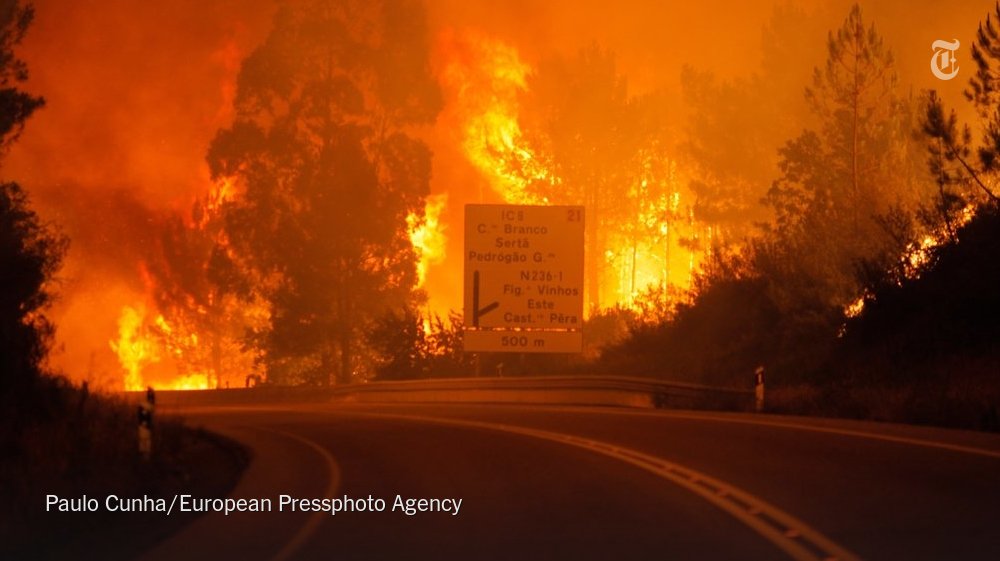 nytimesworld's tweet photo. The death toll in a forest fire in Portugal rose to 62, and the country declared three days of national mourning https://t.co/KPxmHUmUo5 https://t.co/pDZtsynjX0