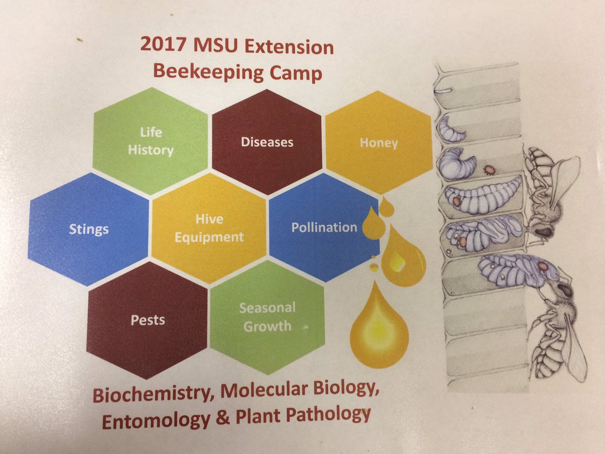 OriginalBugNerd's tweet photo. Beekeeping Camp started today! #BeeCamp2017 #MSUext @jwharris1963 @jguyton3 https://t.co/P0NauNg9Le