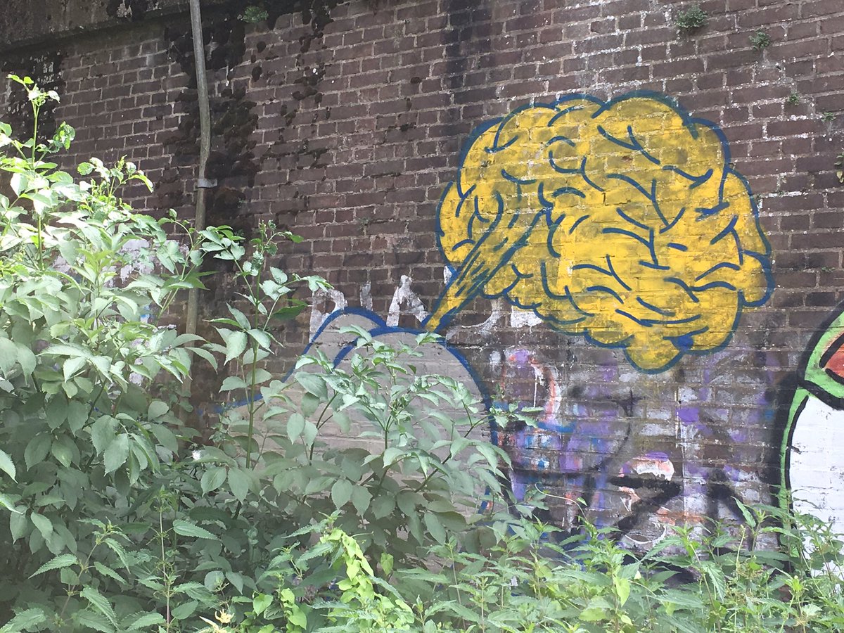 While hiking I finally developed some sympathy for graffiti who had apparently painted a brain under a bridge. Until I took a closer look...