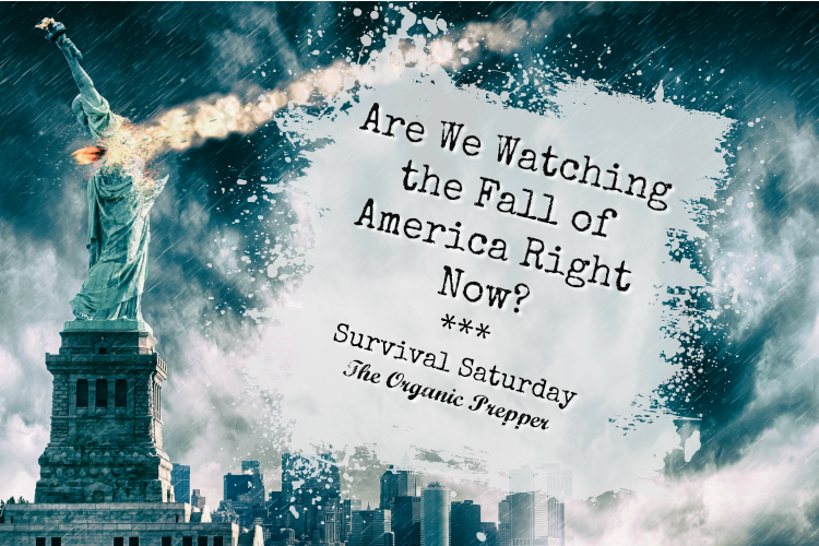 PrepperSoft's tweet photo. Are We Watching the Fall of America Right Now?  https://t.co/iRxD4I2AAU #CivilWar #LeftistRadicals #communists https://t.co/gIUhc2tVeu