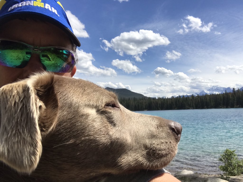 halffull10's tweet image. More adventures with Kiwi. @XX2i