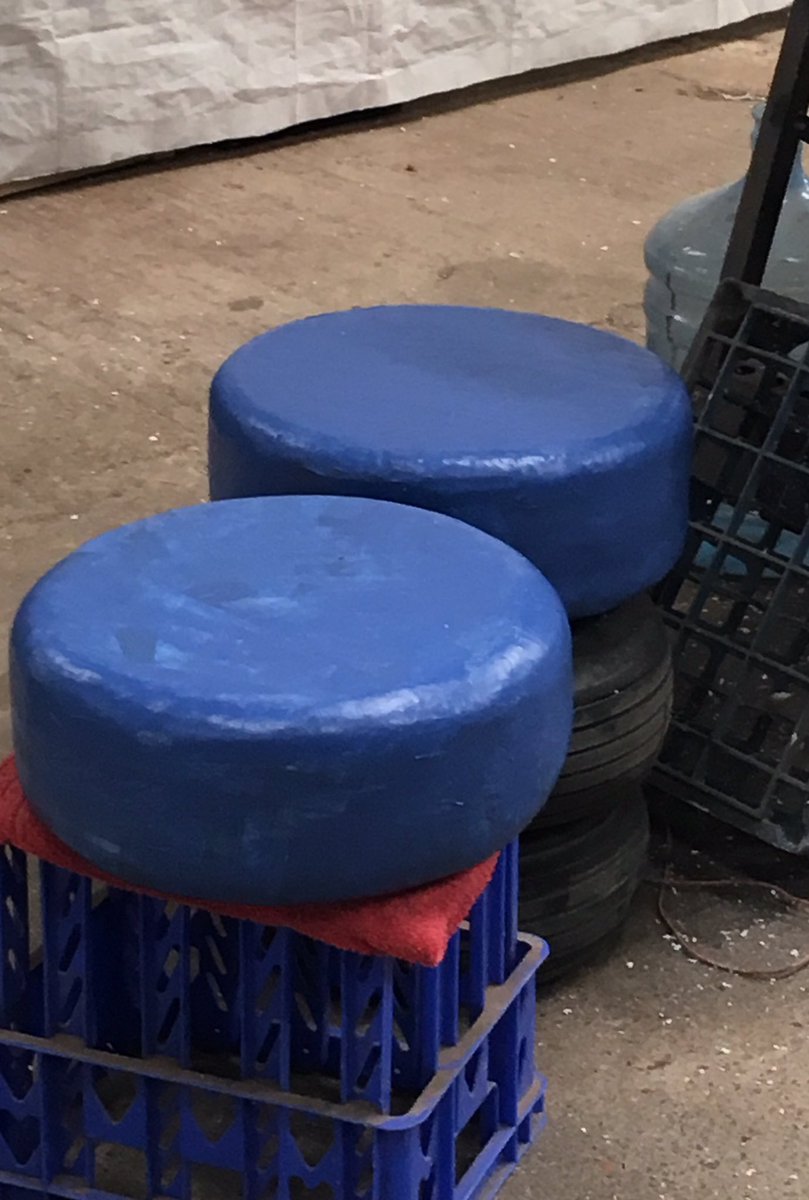 X_DIRECTORY199's tweet photo. These blue mushrooms keep growing in the barn? Must be the warm weather #threeweekstogo #redbullsoapboxrace  #allypally https://t.co/vnVrwVLqFd