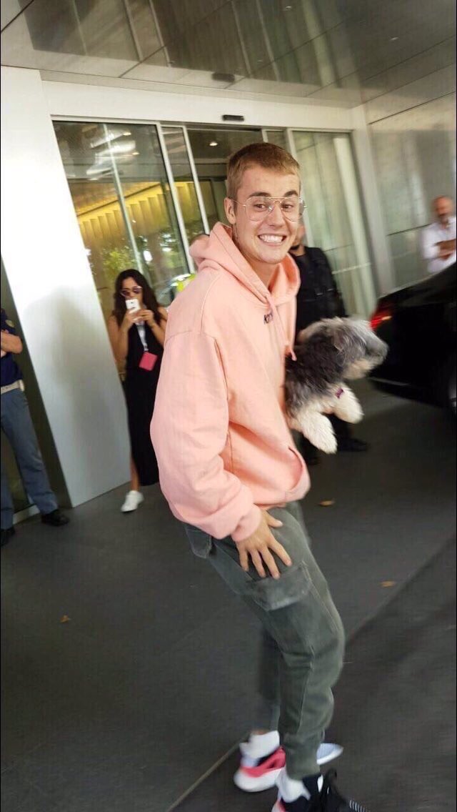 aceaxton's tweet image. little doggo