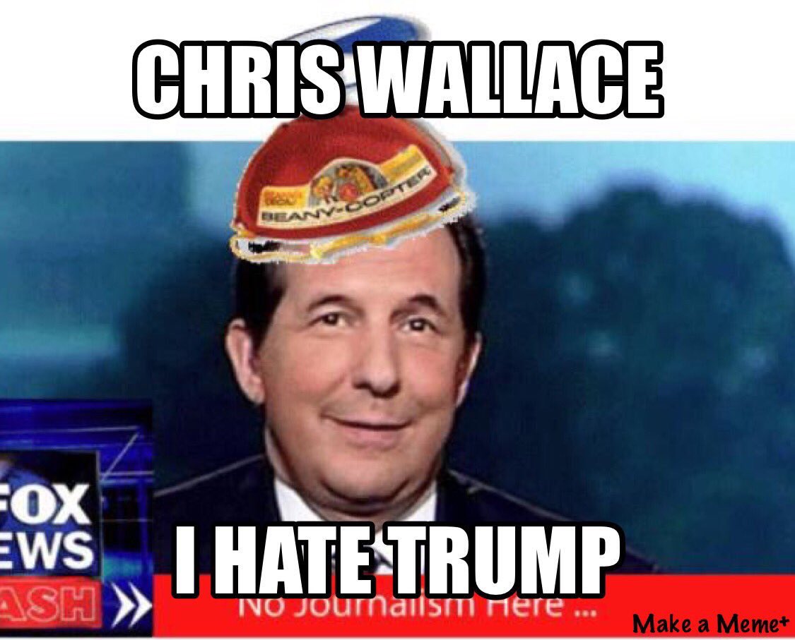 Chris Wallace during impeachment inquiry vote: I can feel goosebumps