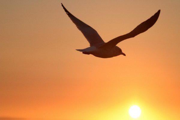 Emma Gouda Emam Goud tweet media