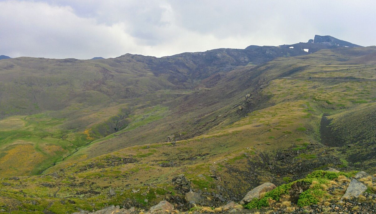 SNevada_Parque's tweet photo. La tormenta caída en la Sierra esta tarde ha refrescado el ambiente y ha reverdecido los prados nevadenses. 

#tuitSulayr https://t.co/NkyWi3G3qW