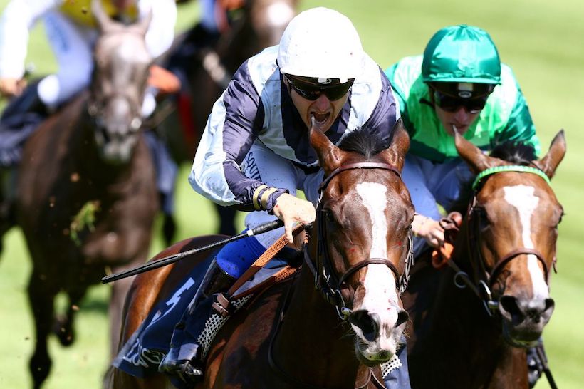 francegalop's tweet photo. #PrixDeDianeLongines 
🏆🏁 #Senga @pasquito60
1ers retours/1st reports
🇫🇷https://t.co/zl3QvgSECV
🇬🇧https://t.co/5lVhwuVxhs https://t.co/6xM9zcXwye